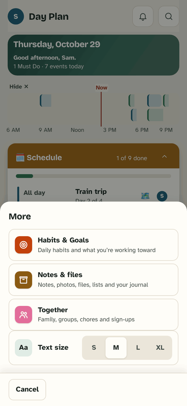 The More sheet over Day Plan: Habits & Goals, Notes & files, Together, and Text size S, M, L, XL.